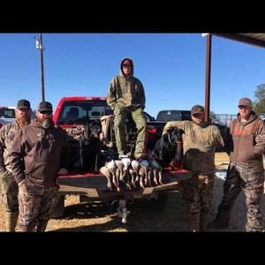 Meet your Posher, Grady